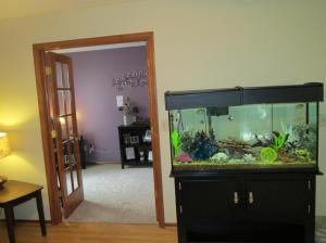 261 Tree Haven Ave, Powell, OH 43065 photo 14