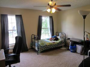 261 Tree Haven Ave, Powell, OH 43065 photo 4