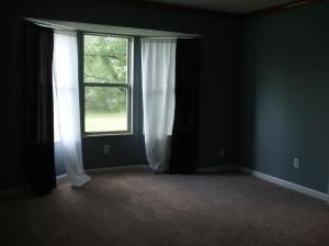 77 Chenango Dr, Powell, OH 43065 photo 15
