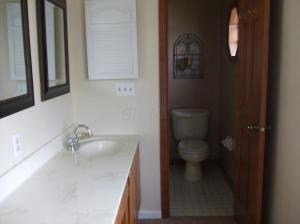 77 Chenango Dr, Powell, OH 43065 photo 23