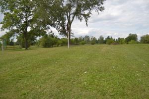 431 E Hale St, Ridgeway, OH 43345 photo 22