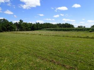 6745 Young Rd, Bellevue, OH 44811 photo 17