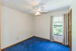 337 Slate Run Dr, Powell, OH 43065 photo 14