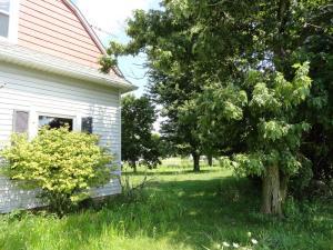 429 E Taylor St, Mount Victory, OH 43340 photo 10