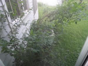 429 E Taylor St, Mount Victory, OH 43340 photo 32