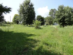 429 E Taylor St, Mount Victory, OH 43340 photo 2