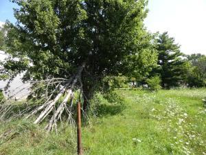 429 E Taylor St, Mount Victory, OH 43340 photo 9