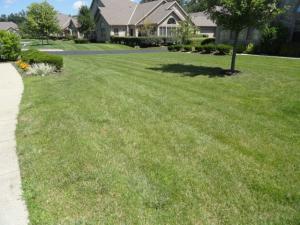 3788 Stoneway Pt, Powell, OH 43065 photo 18