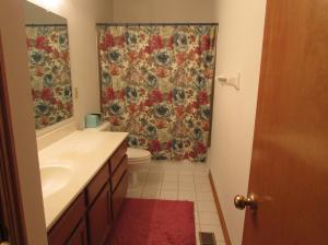 2575 Bryton Ct, Powell, OH 43065 photo 18