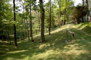 6167 Congo Rd SE, Corning, OH 43730 photo 21