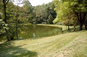 6167 Congo Rd SE, Corning, OH 43730 photo 23