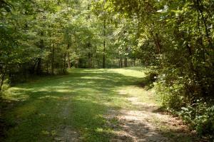 6167 Congo Rd SE, Corning, OH 43730 photo 29
