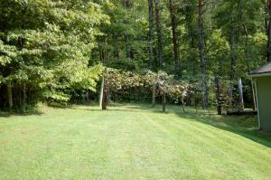 6167 Congo Rd SE, Corning, OH 43730 photo 34