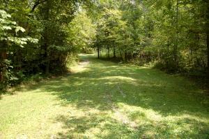 6167 Congo Rd SE, Corning, OH 43730 photo 30