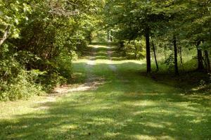 6167 Congo Rd SE, Corning, OH 43730 photo 28