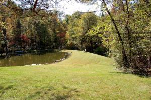 6167 Congo Rd SE, Corning, OH 43730 photo 22