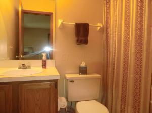 8885 Guilder St, Powell, OH 43065 photo 26