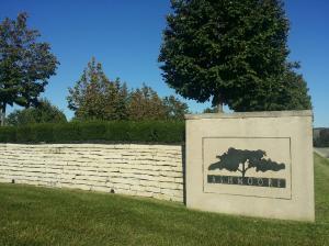 393 Ashmoore Cir E, Powell, OH 43065 photo 38