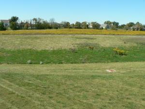 6404 Scioto Chase Blvd, Powell, OH 43065 photo 31