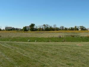 6404 Scioto Chase Blvd, Powell, OH 43065 photo 32