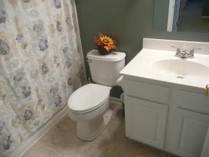 384 Cobblestone Dr, Delaware, OH 43015 photo 21