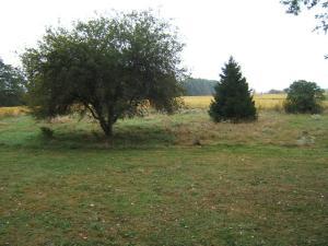 5310 Baker Rd, Delaware, OH 43015 photo 3