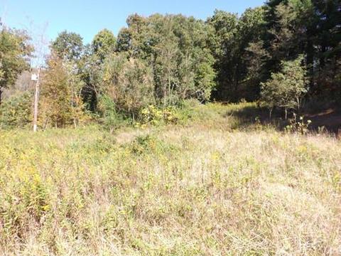 11640 Walnut Dowler Rd, Logan, OH 43138 photo 1