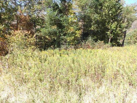 11640 Walnut Dowler Rd, Logan, OH 43138 photo 3