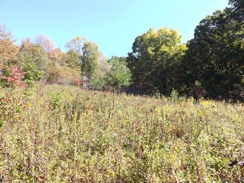 11640 Walnut Dowler Rd, Logan, OH 43138 photo 5