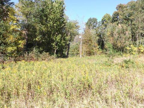 11640 Walnut Dowler Rd, Logan, OH 43138 photo 2