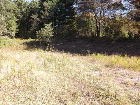 11640 Walnut Dowler Rd, Logan, OH 43138 photo 9
