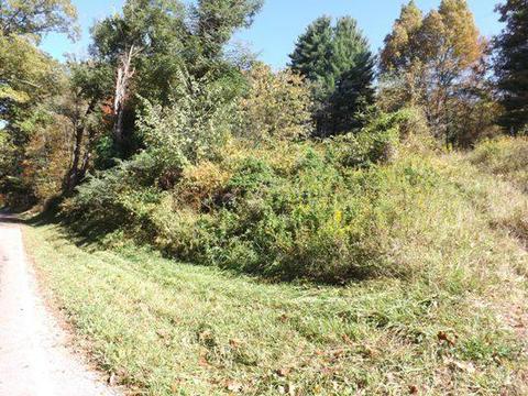 11640 Walnut Dowler Rd, Logan, OH 43138 photo 8