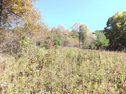 11640 Walnut Dowler Rd, Logan, OH 43138 photo 6