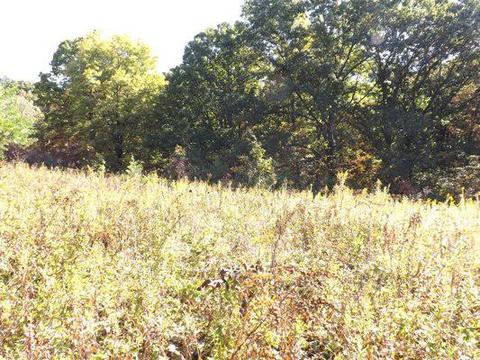 11640 Walnut Dowler Rd, Logan, OH 43138 photo 4