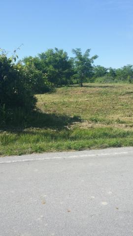 7045 Harriott Rd, Powell, OH 43065 photo 4