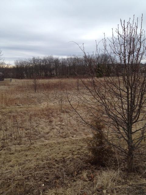 7045 Harriott Rd, Powell, OH 43065 photo 9