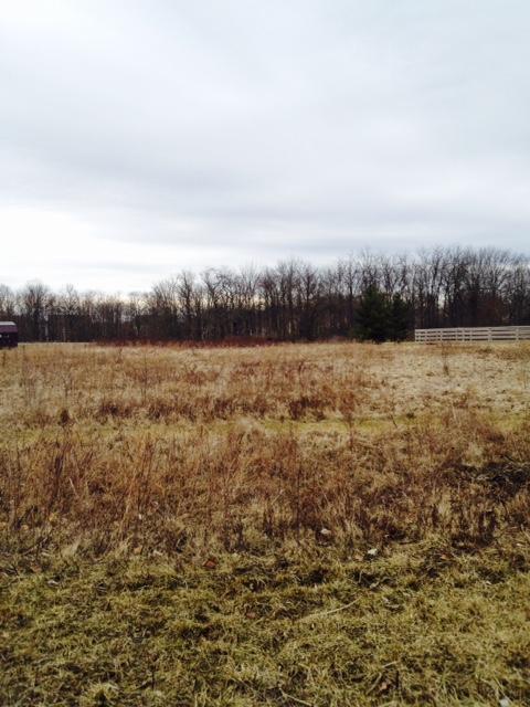 7045 Harriott Rd, Powell, OH 43065 photo 1