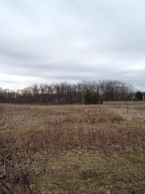 7045 Harriott Rd, Powell, OH 43065 photo 8