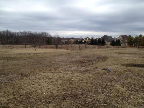 7045 Harriott Rd, Powell, OH 43065 photo 7
