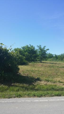 7045 Harriott Rd, Powell, OH 43065 photo 3