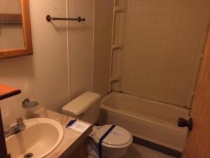 315 E Cliff St, Baltimore, OH 43105 photo 12