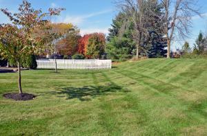 5774 Haddingtonshire Ln, Dublin, OH 43016 photo 32