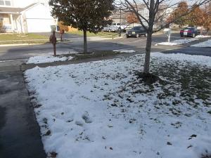 2589 Augustwood Dr, Columbus, OH 43207 photo 4