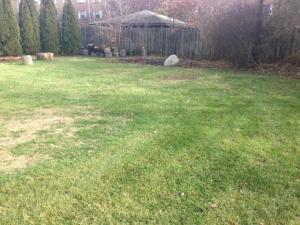 488 Stanbery Ave, Bexley, OH 43209 photo 2
