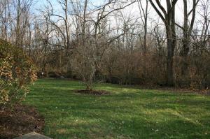 5368 Aubrey Loop, Dublin, OH 43016 photo 19