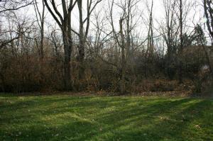 5368 Aubrey Loop, Dublin, OH 43016 photo 20