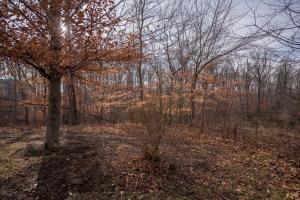 7777 Lanham Ct, Dublin, OH 43016 photo 42