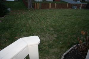 8869 Cornwallis Ct, Powell, OH 43065 photo 22