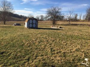 16708 Cramer Rd, Mount Perry, OH 43760 photo 4