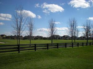8069 Millway Loop, Powell, OH 43065 photo 14